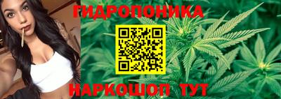 Альфа ПВП Лесосибирск
