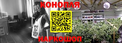Альфа ПВП Лесосибирск