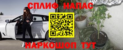 Альфа ПВП Лесосибирск