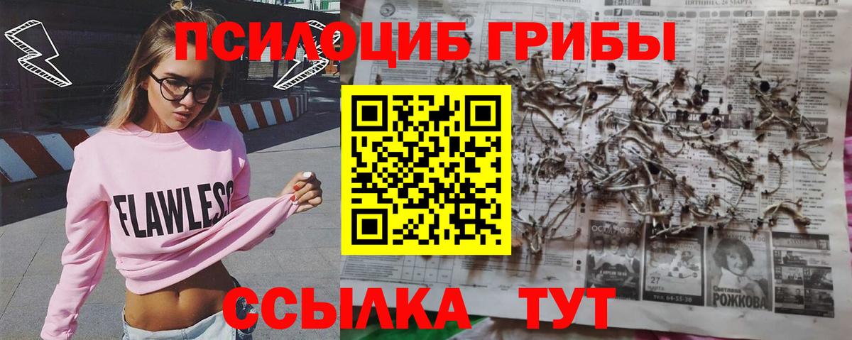 Галлюциногенные грибы прущие грибы Сосновоборск