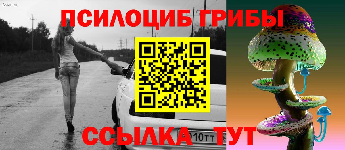 Галлюциногенные грибы Psilocybe  Вход с VPN  Сосновоборск 